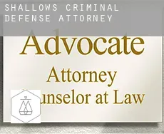 Shallows  criminal defense attorney
