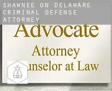 Shawnee on Delaware  criminal defense attorney
