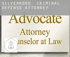 Silverwood  criminal defense attorney