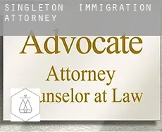 Singleton immigration attorney