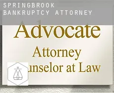 Springbrook  bankruptcy attorney