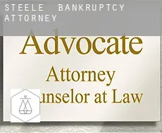 Steele  bankruptcy attorney