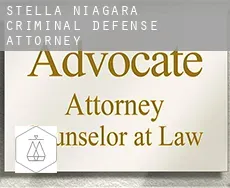 Stella Niagara  criminal defense attorney