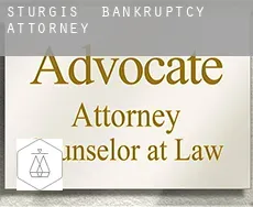 Sturgis  bankruptcy attorney