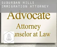 Suburban Hills  immigration attorney