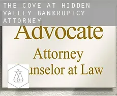 The Cove at Hidden Valley  bankruptcy attorney