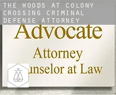 The Woods at Colony Crossing  criminal defense attorney