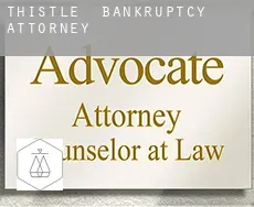 Thistle  bankruptcy attorney