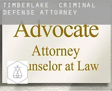 Timberlake  criminal defense attorney