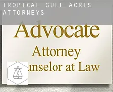 Tropical Gulf Acres  attorneys