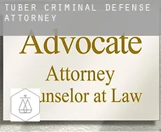 Tuber criminal defense attorney