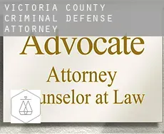Victoria County criminal defense attorney