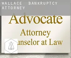 Wallace  bankruptcy attorney