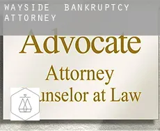 Wayside  bankruptcy attorney