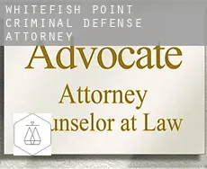 Whitefish Point  criminal defense attorney