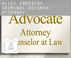 Wiley Crossing  criminal defense attorney