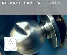 Barbara Lane  attorneys