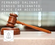 Fernando Salinas  car accident attorney