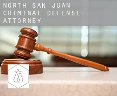 North San Juan  criminal defense attorney