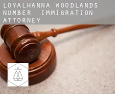 Loyalhanna Woodlands Number 2  immigration attorney