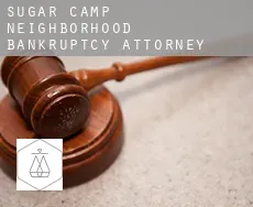 Sugar Camp Neighborhood  bankruptcy attorney