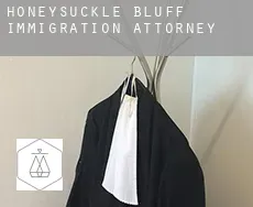 Honeysuckle Bluff immigration attorney
