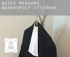 Quiet Meadows  bankruptcy attorney