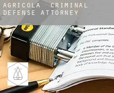 Agricola  criminal defense attorney