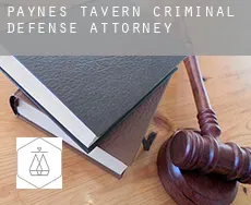 Paynes Tavern  criminal defense attorney