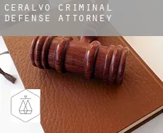 Ceralvo  criminal defense attorney