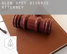 Glen Spey  divorce attorney