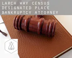 Larch Way bankruptcy attorney