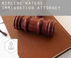 Ripling Waters  immigration attorney