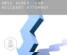 Amys Acres  car accident attorney