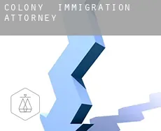 Colony  immigration attorney