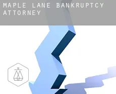 Maple Lane bankruptcy attorney