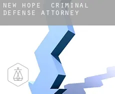 New Hope  criminal defense attorney