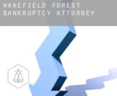 Wakefield Forest  bankruptcy attorney