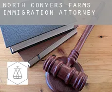 North Conyers Farms  immigration attorney