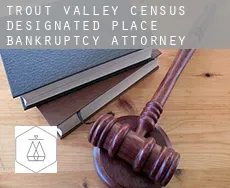 Trout Valley  bankruptcy attorney