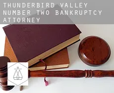 Thunderbird Valley Number Two  bankruptcy attorney