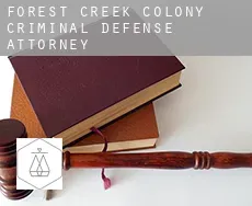 Forest Creek Colony criminal defense attorney
