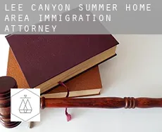 Lee Canyon Summer Home Area  immigration attorney