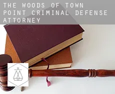 The Woods of Town Point  criminal defense attorney