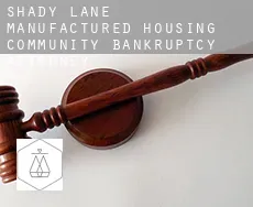 Shady Lane Manufactured Housing Community bankruptcy attorney