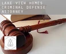 Lake View Homes  criminal defense attorney