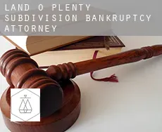 Land-O-Plenty Subdivision  bankruptcy attorney