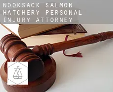 Nooksack Salmon Hatchery  personal injury attorney