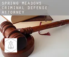 Spring Meadows  criminal defense attorney