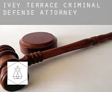 Ivey Terrace  criminal defense attorney